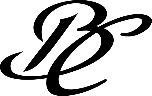 BlayConcept